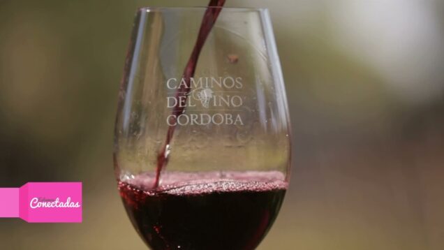 Estamos Conectadas – Caminos del Vino