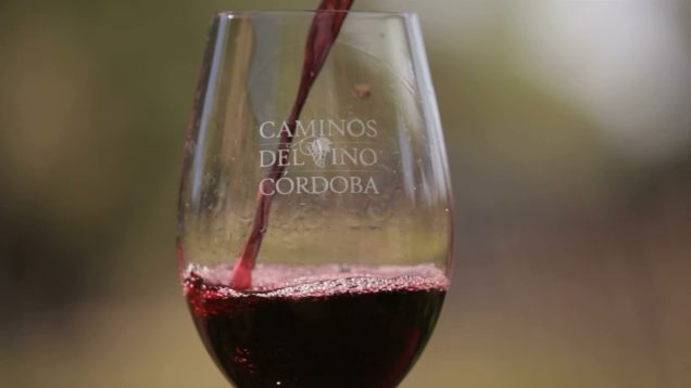Estamos Conectadas – Caminos del Vino