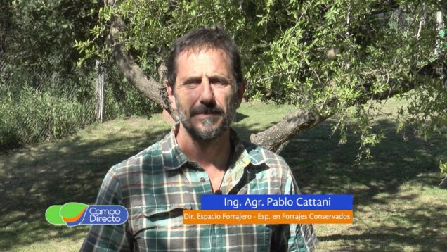 Campo Directo | Factores de decisión para elegir tipos de silos