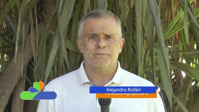 Campo Directo | Carne vacuna | Cayó el consumo y la exportación en el primer mes de 2022