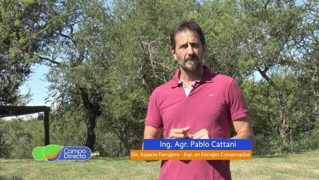 Campo Directo | Digestibilidad en silos energéticos