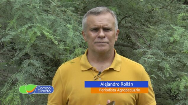 Campo Directo | Maquinaria Agrícola