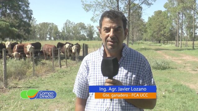Campo Directo | Nueva Prueba Pastoril Hereford en la UCC