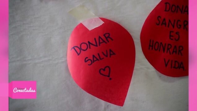 Estamos Conectadas – Fundayt