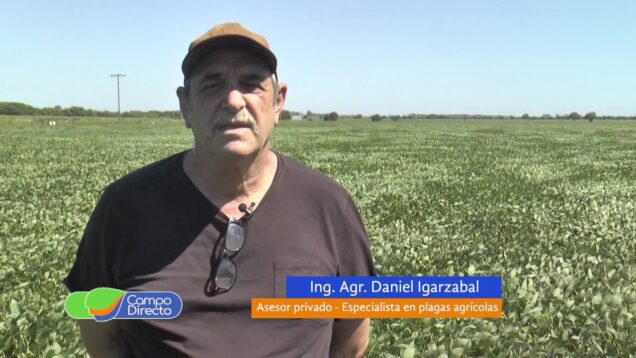 Campo Directo | Alerta de plagas para marzo