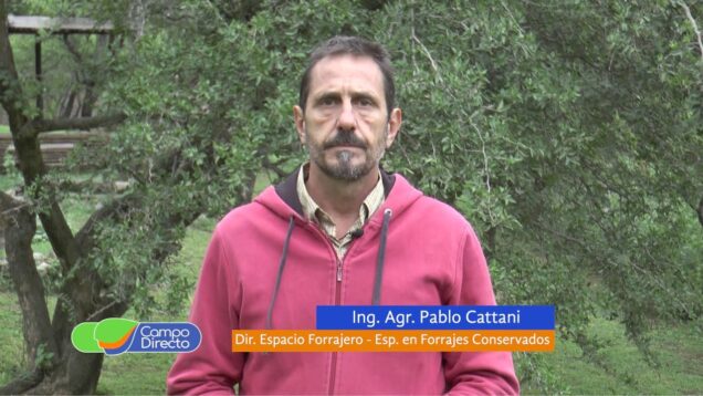 Campo Directo | Expoagro 2022 | Tendencias y novedades en forrajes