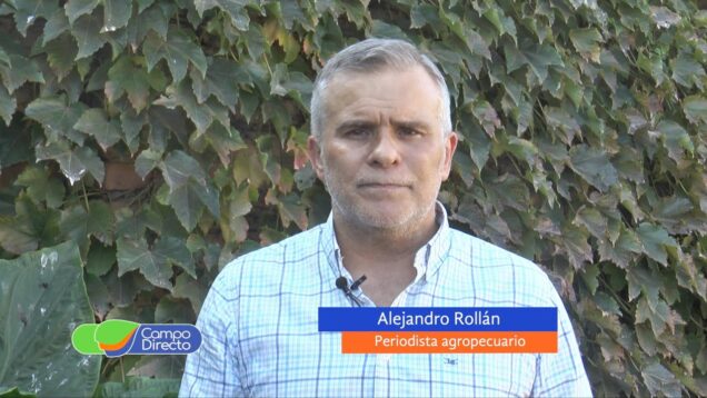 Campo Directo | Carnes ¿Cuánto consumimos los argentinos?