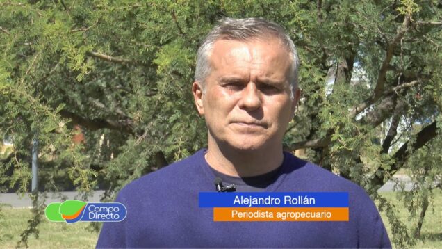 Campo Directo | La sequía de enero dejó su huella en la producción