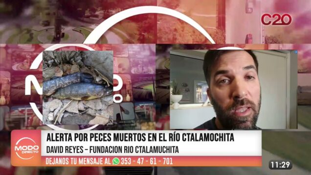 Modo Directo | Alerta por Peces Muertos – David Reyes