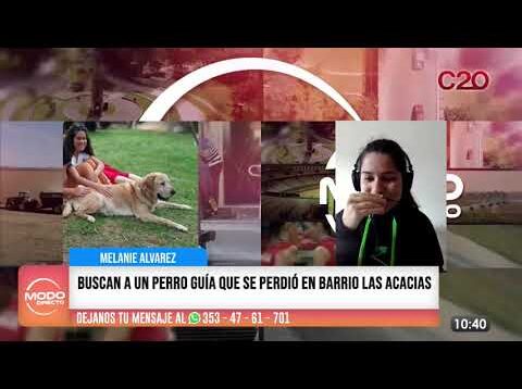 Modo Directo | Buscan a Sultán – Melanie Álvarez