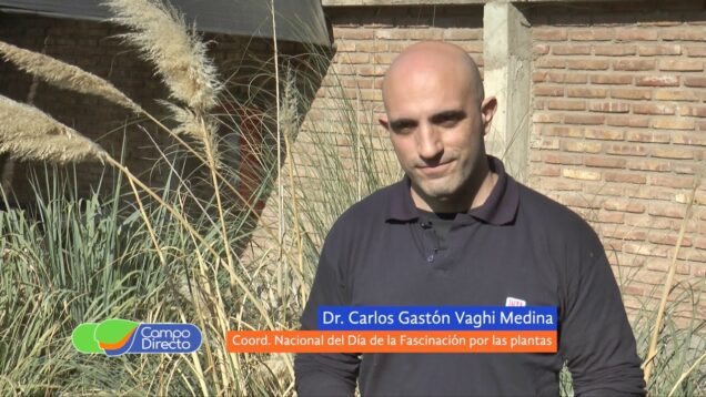 Campo Directo | Día de la Fascinación por las Plantas