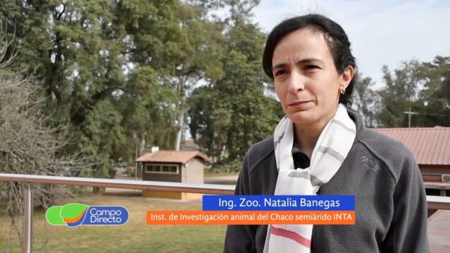 Campo Directo | Impacto de la ganadería en el medioambiente