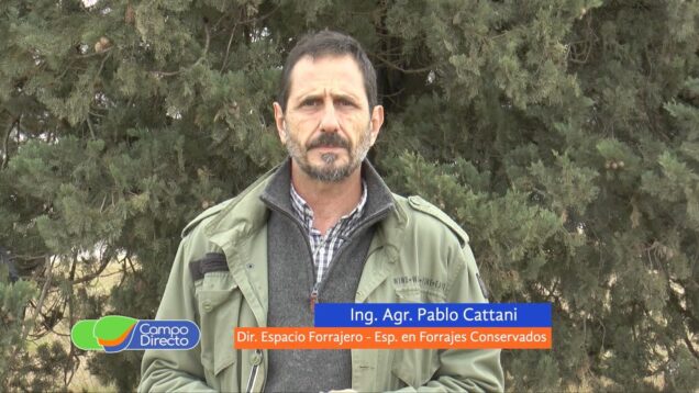 Campo Directo | Orientamos el forraje de acuerdo al destino