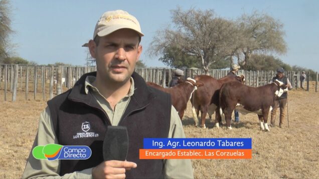 Campo Directo | Se viene el 18° remate anual de Los Socavones