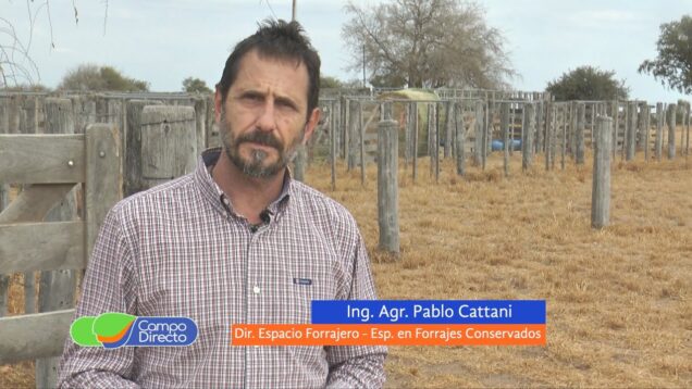 Campo Directo | Utilización de silajes, conceptos para maximizar la producción (2da. parte)