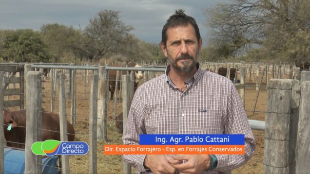 Campo Directo | Utilización de silajes | Conceptos para maximizar la producción