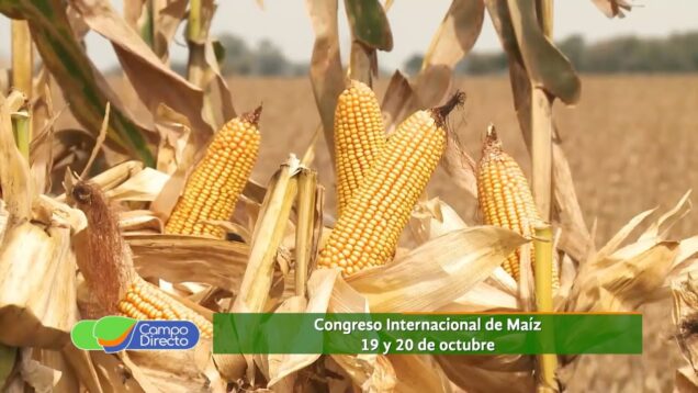Campo Directo | Córdoba recibe al Congreso Internacional de Maíz