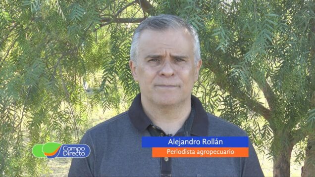 Campo Directo | La exportación de carne no pasa por un buen momento