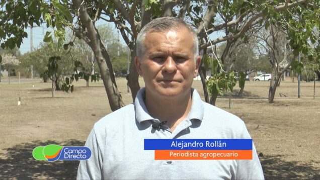 Campo Directo | La sequía recortará los rendimientos del trigo cordobés