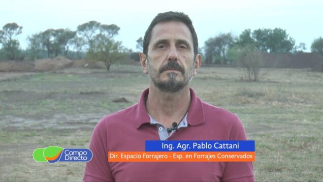 Campo Directo | Maximizamos el uso de las alfalfas