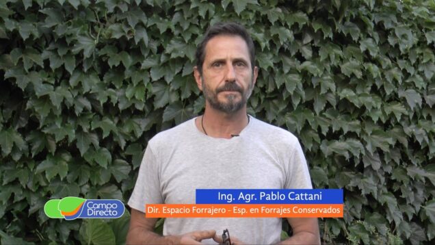 Campo Directo | Aspectos a considerar en los silajes de primavera