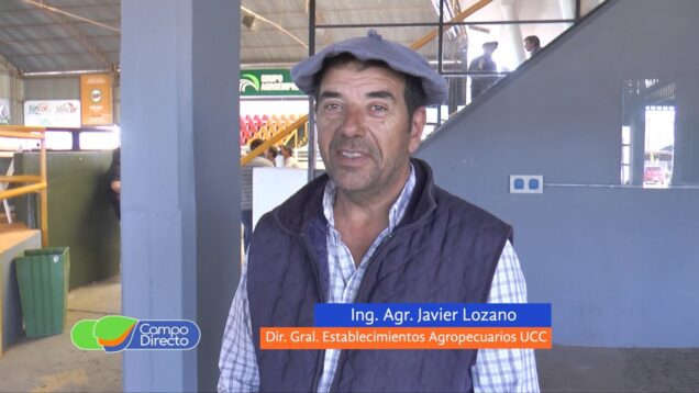 Campo Directo | Vendieron los Hereford de la 5ta. Prueba Pastoril