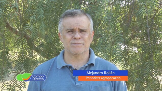 Campo Directo | Lenta recomposición en el valor de la hacienda