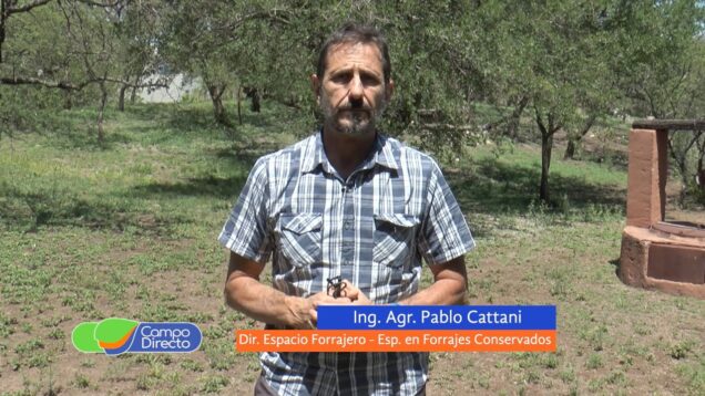 Campo Directo | Mejorar los silos de alfalfa