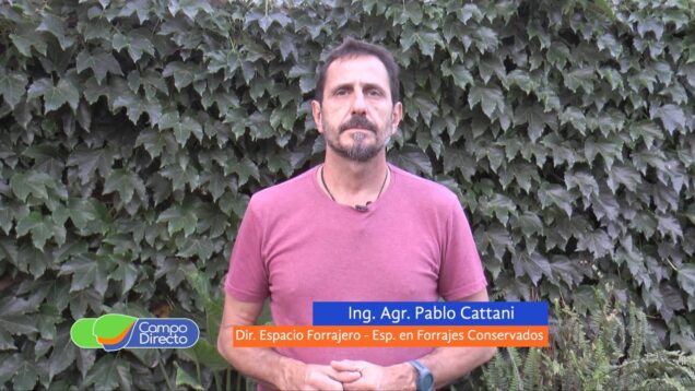 Campo Directo | Recomendaciones para la campaña de maíces tardíos