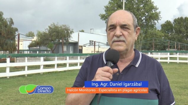 Campo Directo | Alerta de Plagas – Daniel Igarzábal