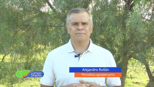 Campo Directo | El Clima – Alejandro Rollán