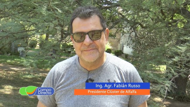 Campo Directo | El clúster de Alfalfa y un intenso año por delante