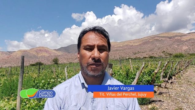 Campo Directo | Vinos de altura, de Humahuaca al mundo