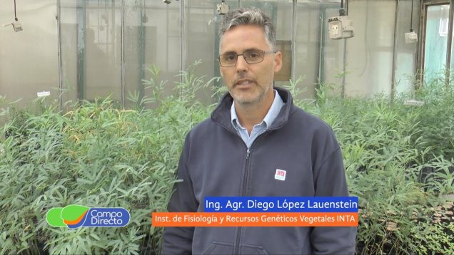 Campo Directo | 21 de Marzo: Día Internacional de los Bosques