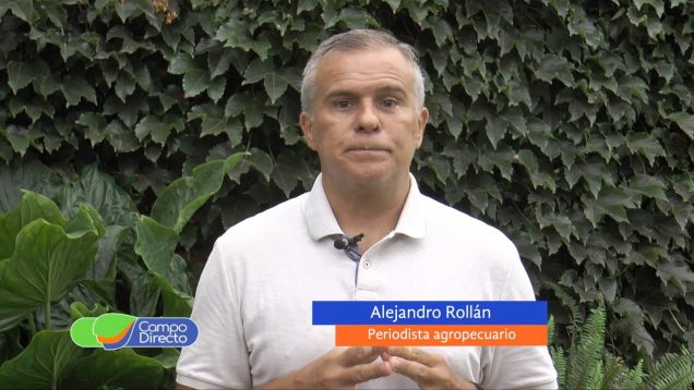 Campo Directo | Gripe aviar el Gobierno cierra las exportaciones