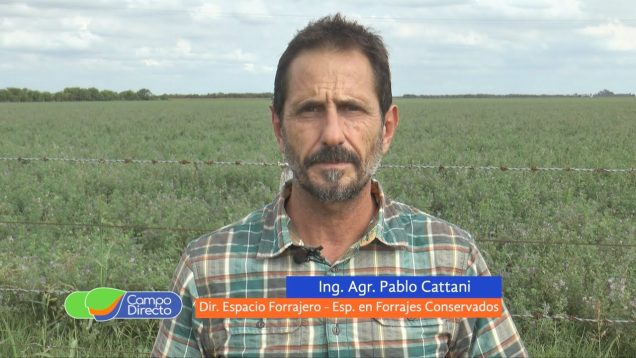 Campo Directo | Alternativas energéticas para la presente campaña