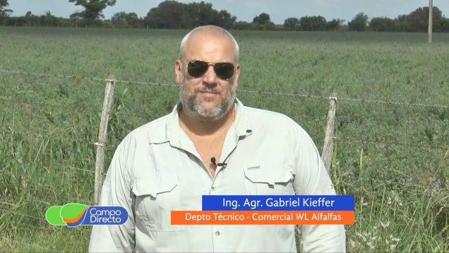 Campo Directo | Alternativas y productos para recomponer la cadena forrajera