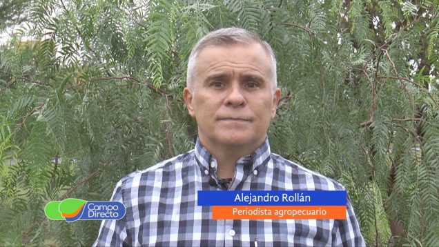 Campo Directo | Con el dólar agro, el Gobierno busca recaudar U$S 9 000 millones