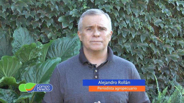 Campo Directo | Córdoba tendrá la peor cosecha en 11 años