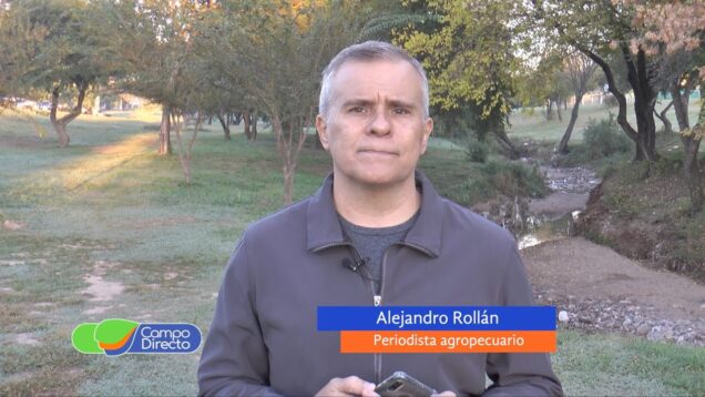 Campo Directo | Dólar soja 3″: la decisión del productor es no vender