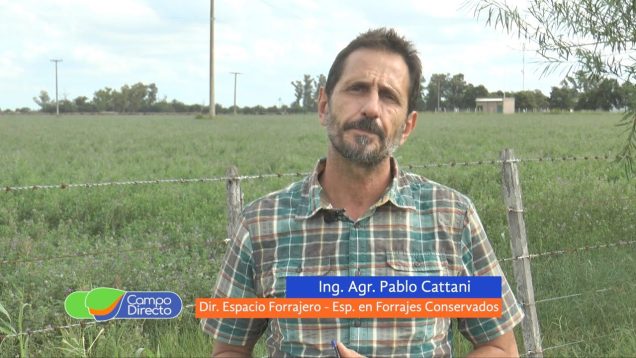 Campo Directo | Siembra de pasturas y verdeos de acuerdo a las necesidades