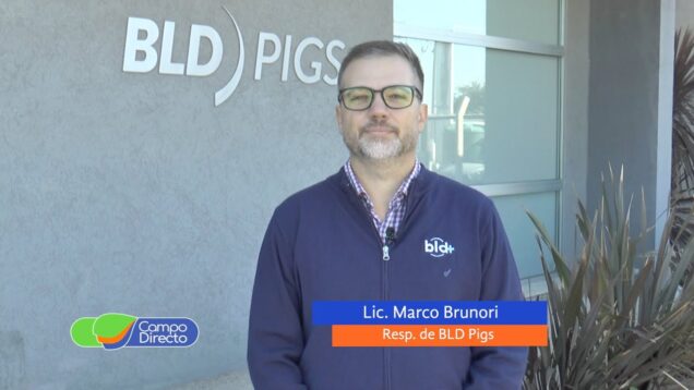 Campo Directo | Conocemos BLD Pigs en Noetinger