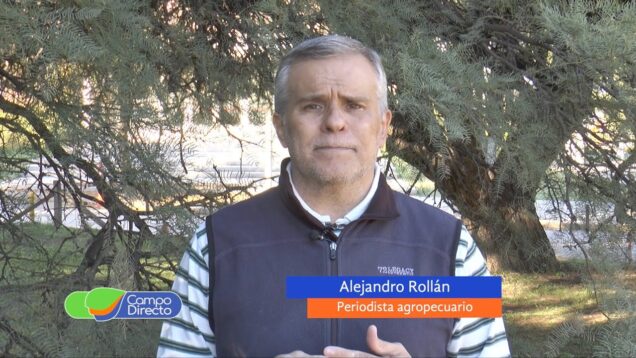 Campo Directo | El BCRA encarece el financiamiento para el agro