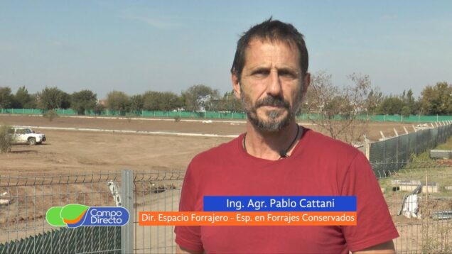 Campo Directo | Uso eficiente de los forrajes (segunda parte)