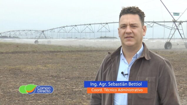 Campo Directo | Finalizó la campaña 22 del Consorcio de Usuarios de Agua Subterránea Zona I