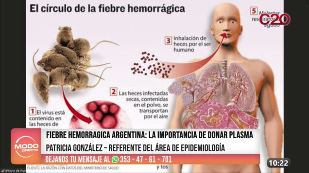 Modo Directo | Fiebre Hemorrágica Argentina – Patricia González