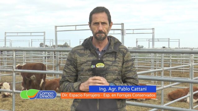 Campo Directo | Análisis de calidad de de forrajes en la presente campaña