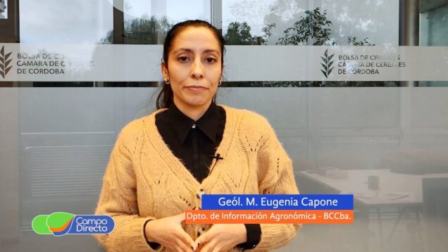 Campo Directo | Lluvias beneficiosas para trigo, no tanto para maíces tardíos