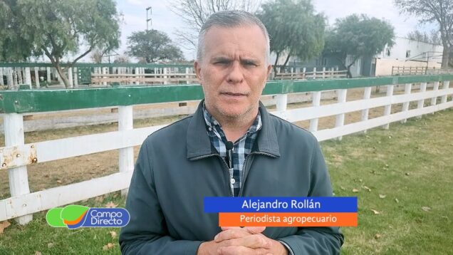 Campo Directo | Los números económicos para actual campaña triguera