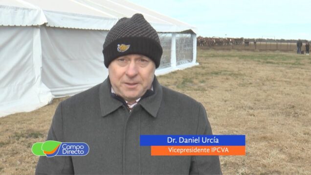 Campo Directo | Más de 700 participantes en la jornada del IPCVA en Jesús María